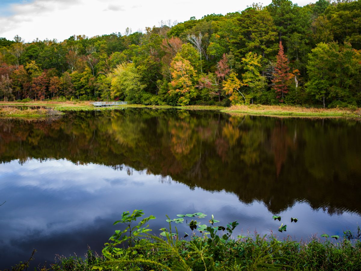 Sanctuary Retreat Center 3