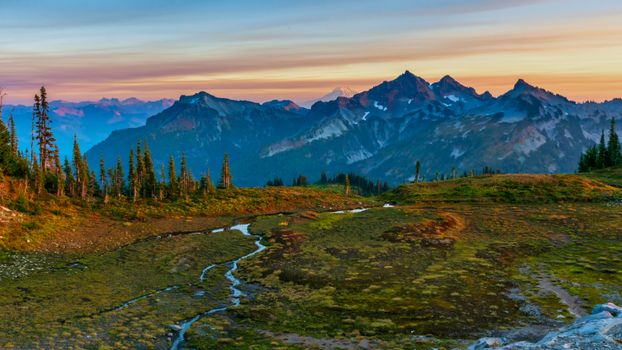 Breathtaking view of a mountain landscape surrounded by streams and foliage at sunrise in Ashford, Washington.