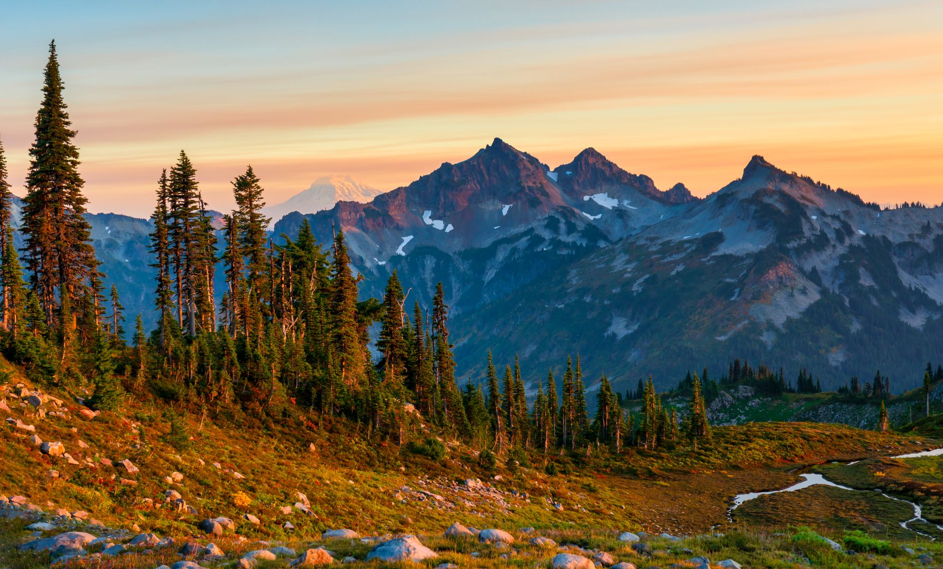 Scenic view of Cascade Mountain Range at sunrise with lush green pine trees and clear sky.
