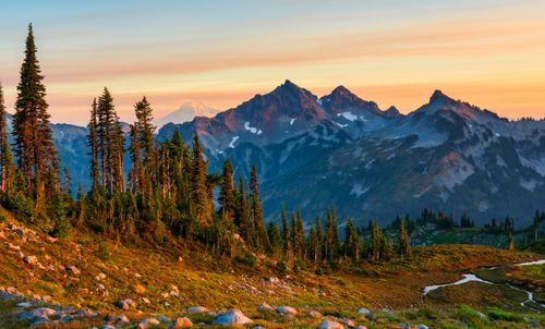 Free Scenic view of Cascade Mountain Range at sunrise with lush green pine trees and clear sky. Stock Photo