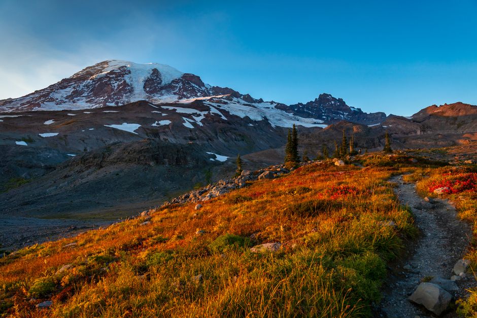 Experience the serene beauty of Mount Rainier during a fall sunrise, showcasing vibrant autumn colors.