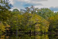 Tranquil scene of a calm lake reflecting green trees under a cloudy sky.