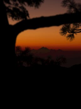 Silhouetted trees frame a breathtaking sunset with mountain silhouette.