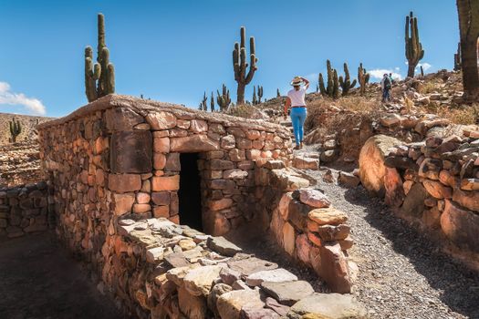 Explore ancient stone ruins surrounded by towering cacti in a sunny desert landscape.