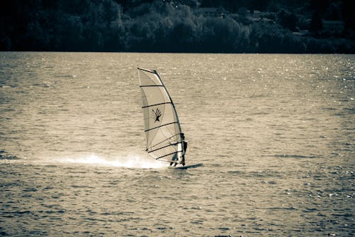 Free Grayscale Photo of Person Doing Windsurfing  Stock Photo