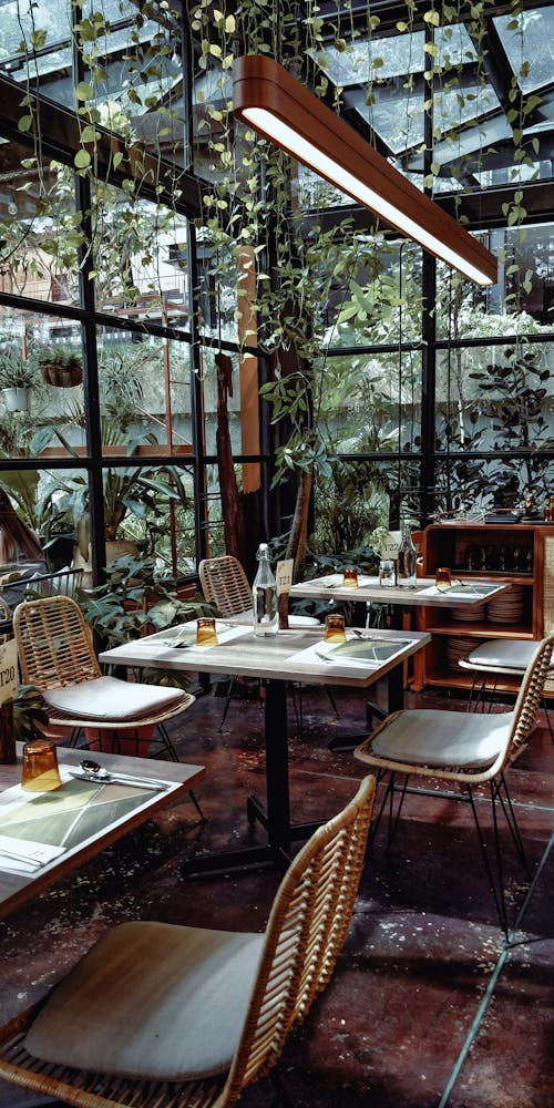A Restaurant with Hanging Plants Inside