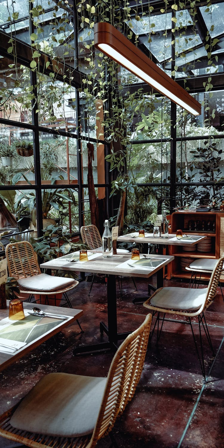 A Restaurant With Hanging Plants Inside