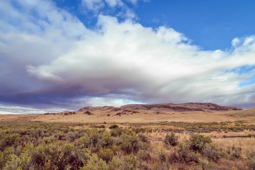 Free Picturesque scenery of field covered with dry grass and bushes located in countryside under cloudy blue sky Stock Photo