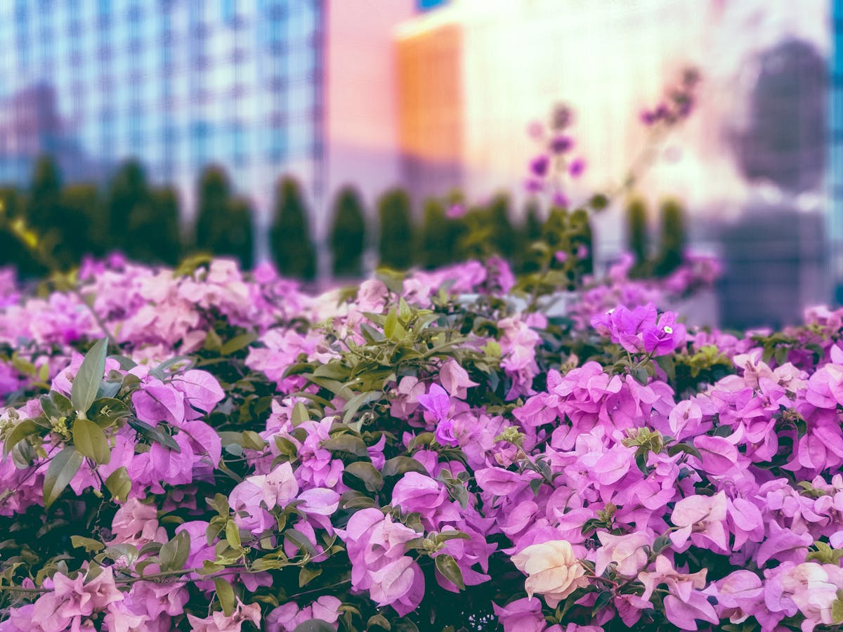 Older man practicing a single-leg balance exercise in the living room