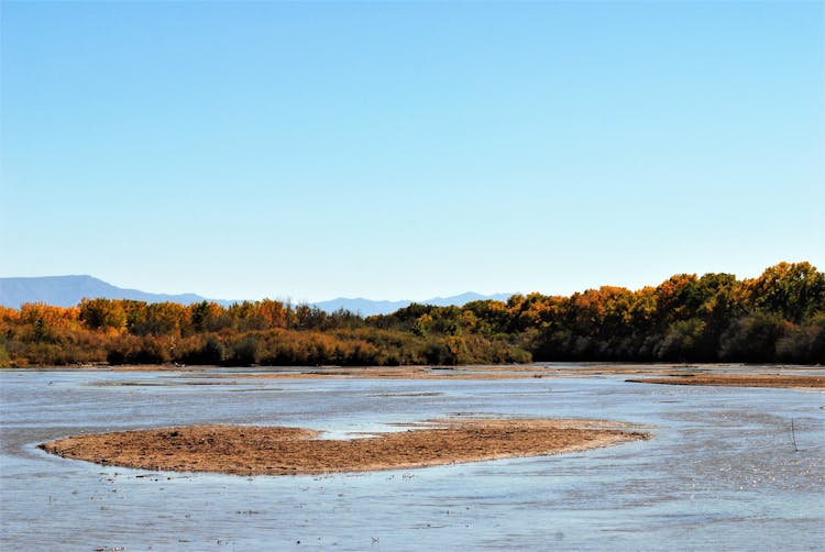 Flat Wetland With Mountains Visible In The Horizon 