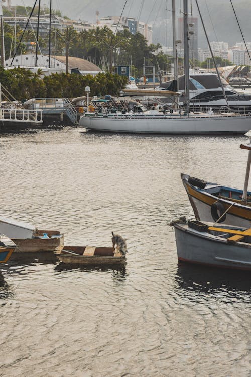 Boats moored on quay in summer