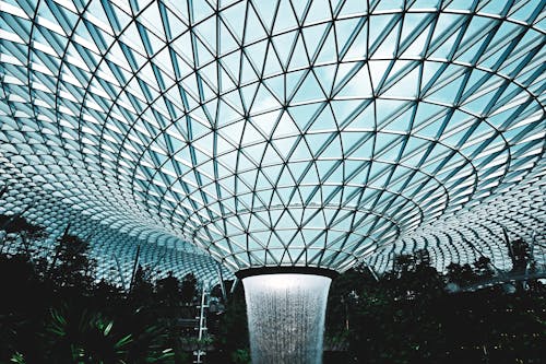 Metal Framed Glass Roof of a Botanical Garden