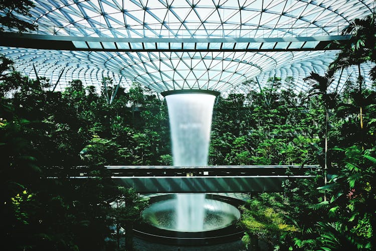 Indoor Water Fountain In The Middle Of Green Trees