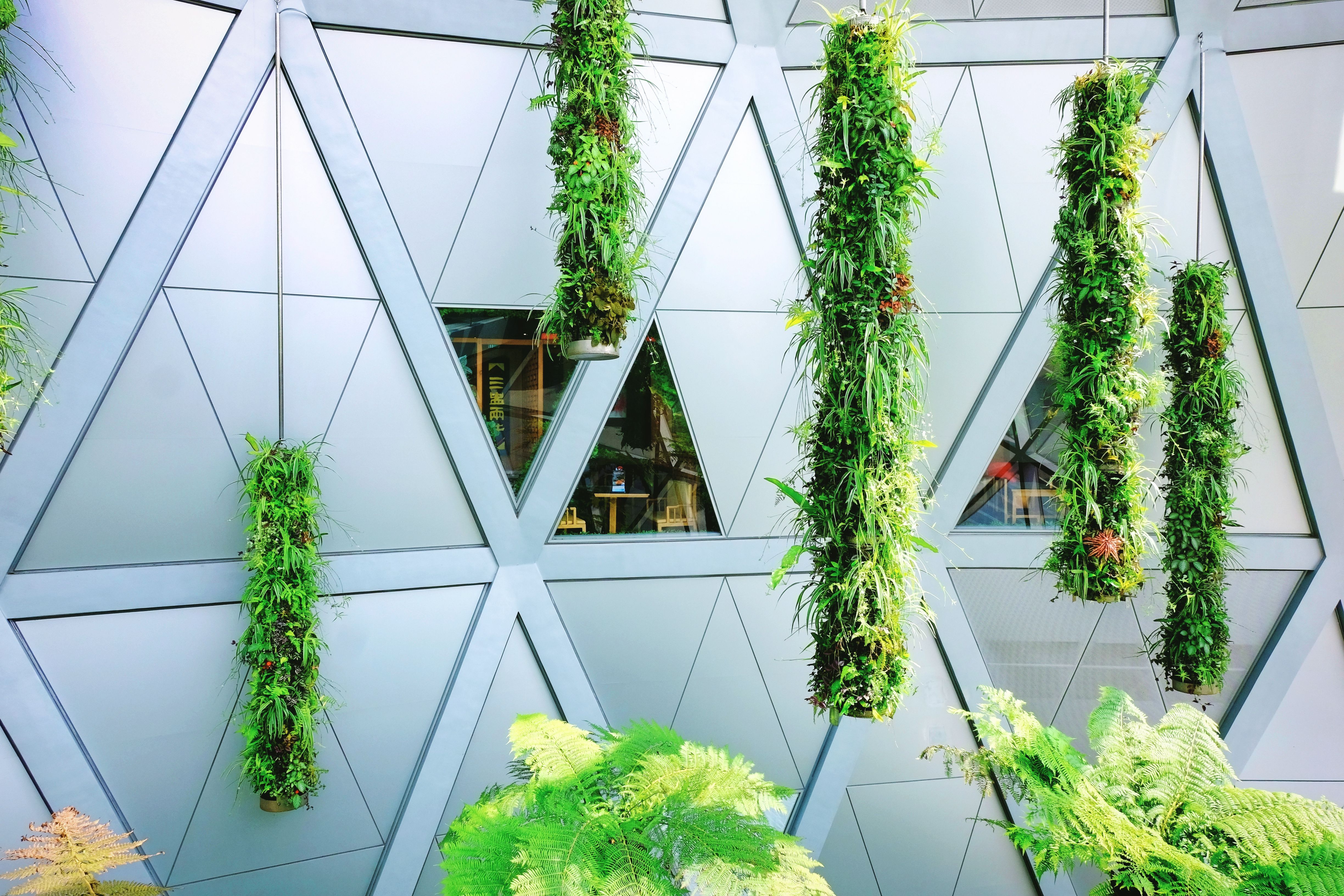 Groene smart wall op een stedelijk balkon.