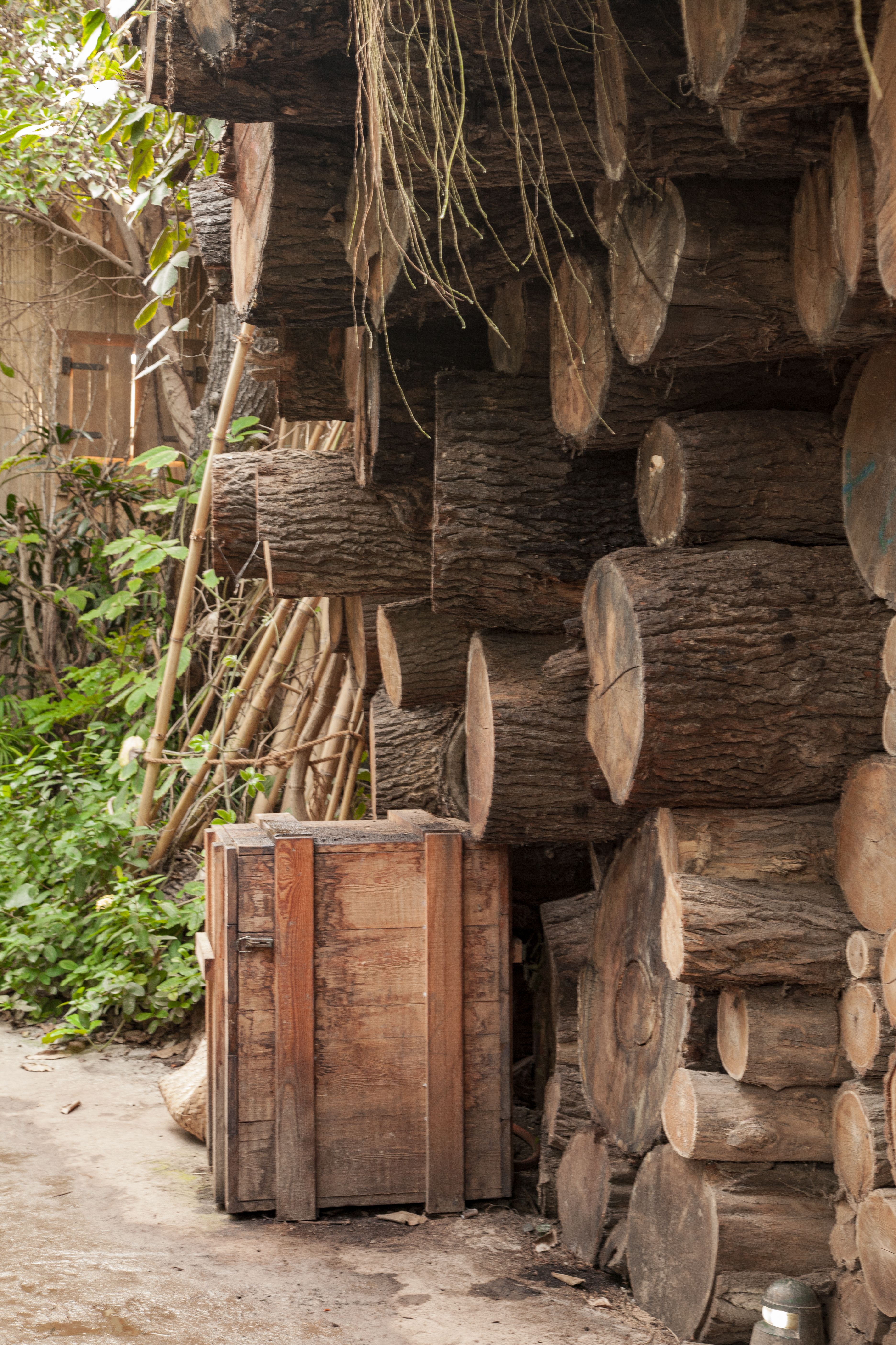 Wood Logs Courtyard Photos, Download The BEST Free Wood Logs Courtyard ...