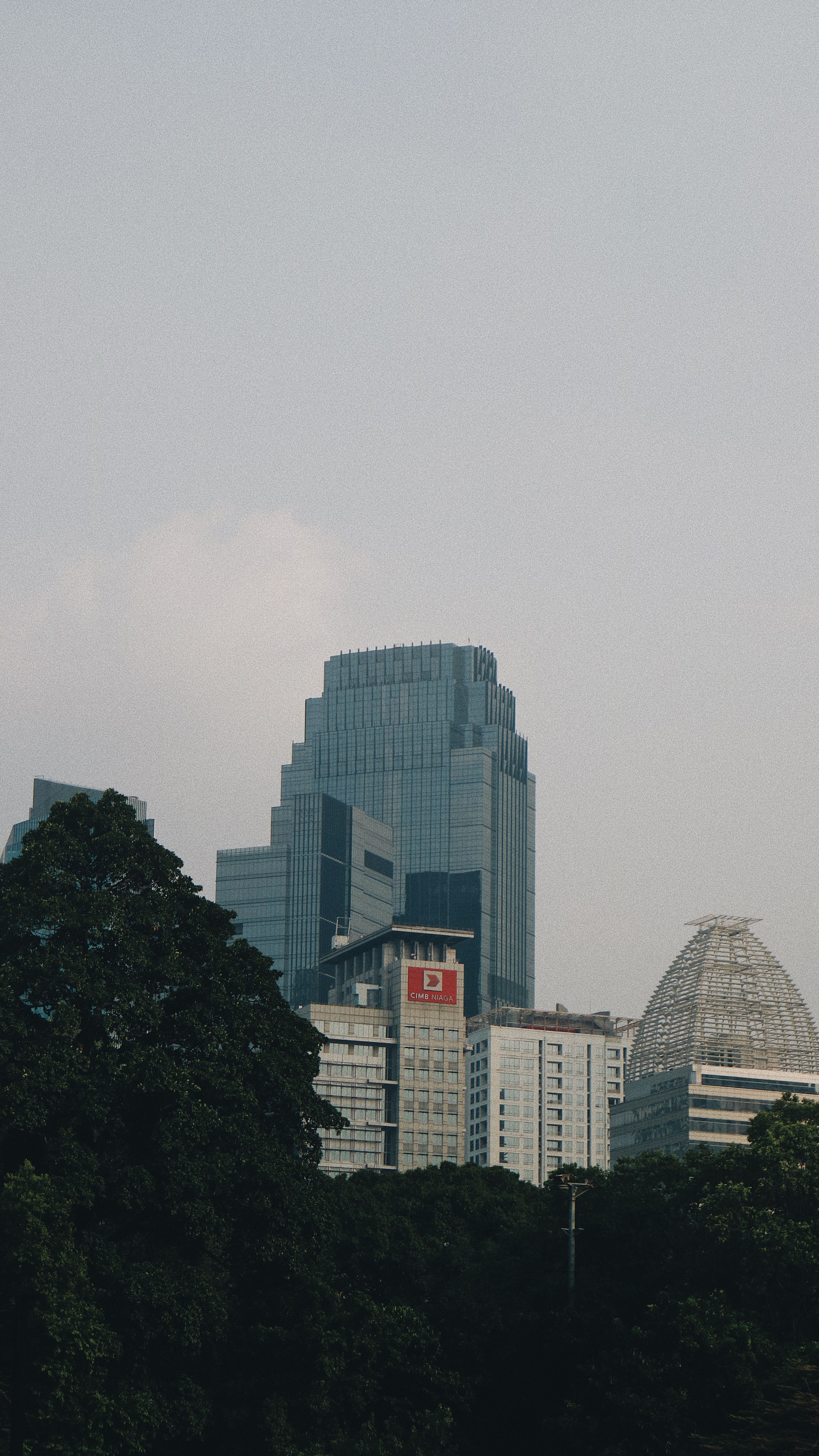 从垂直视角看，城市建筑以高耸的现代摩天大楼为特色，天空多云