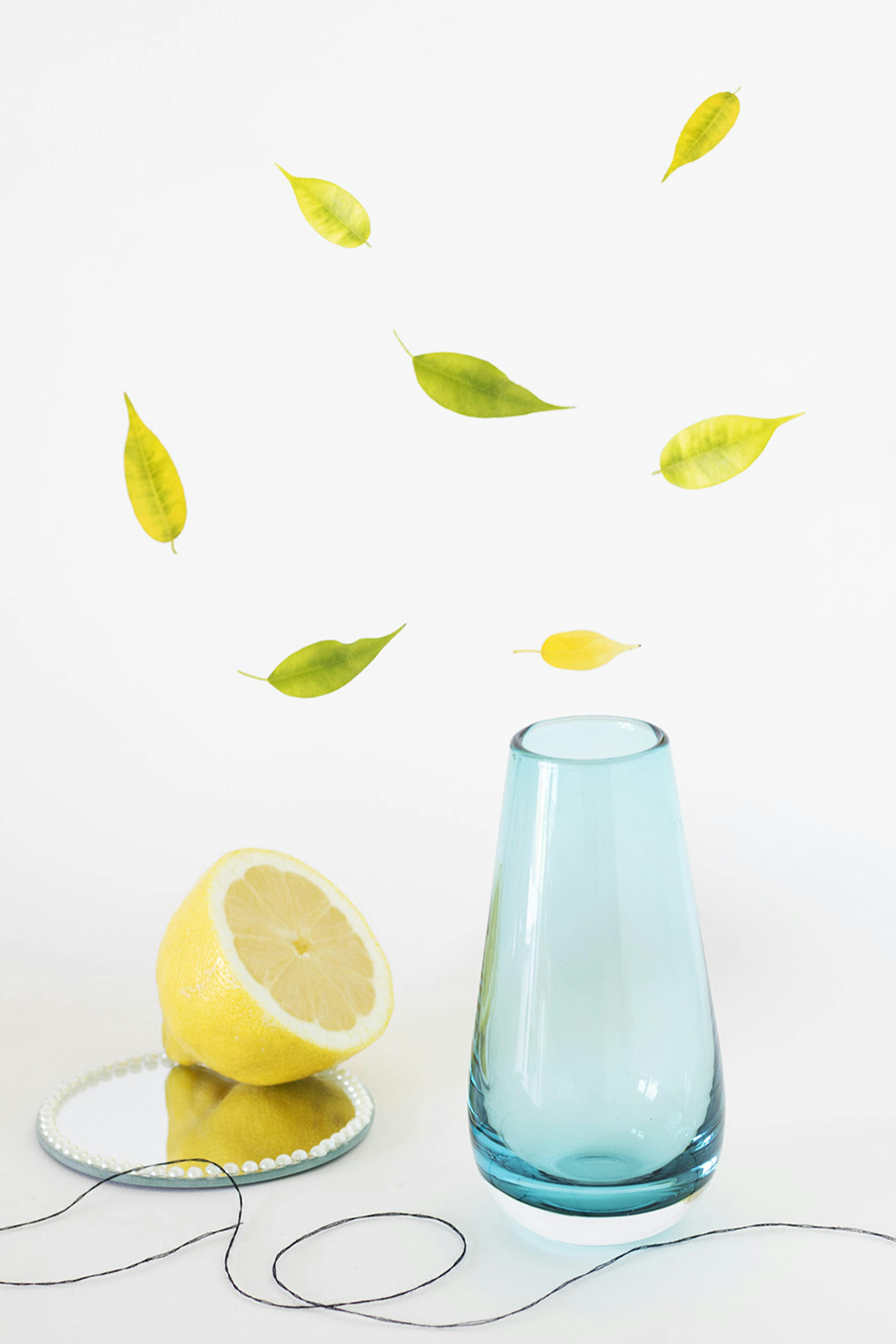 Lemon Vase Filler Photos, Download Free Lemon Vase Filler Stock Photos