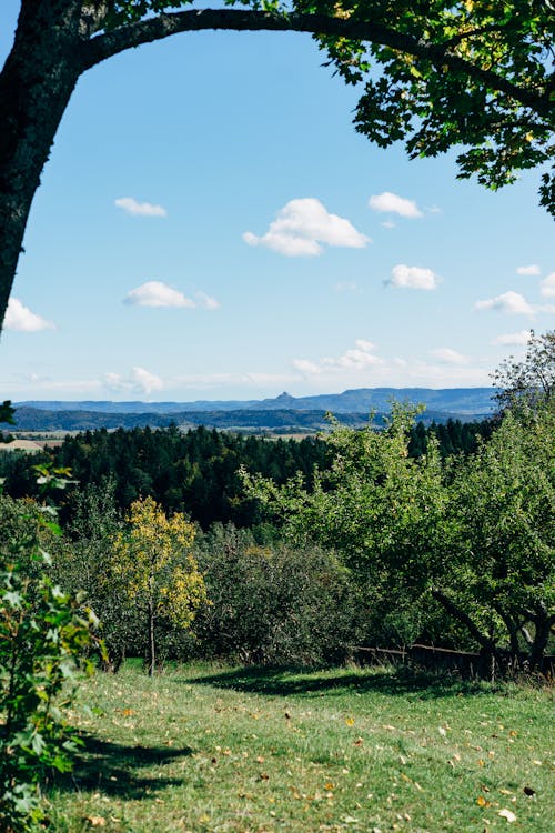 Fotobanka s bezplatnými fotkami na tému exteriéry, modrá obloha, mraky