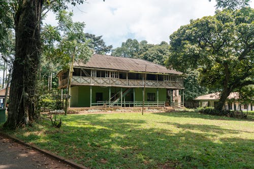 Foto profissional grátis de árvores, casa, de madeira