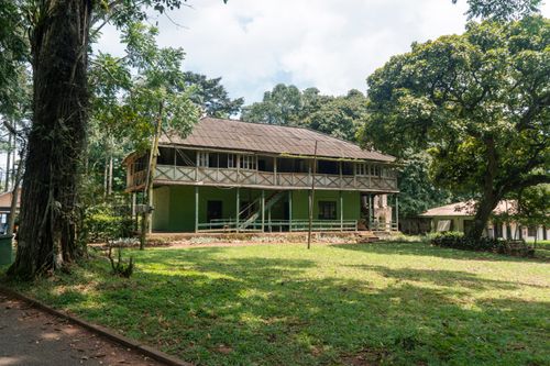 Free A charming colonial-era house with lush greenery in Eastern Region, Ghana. Stock Photo