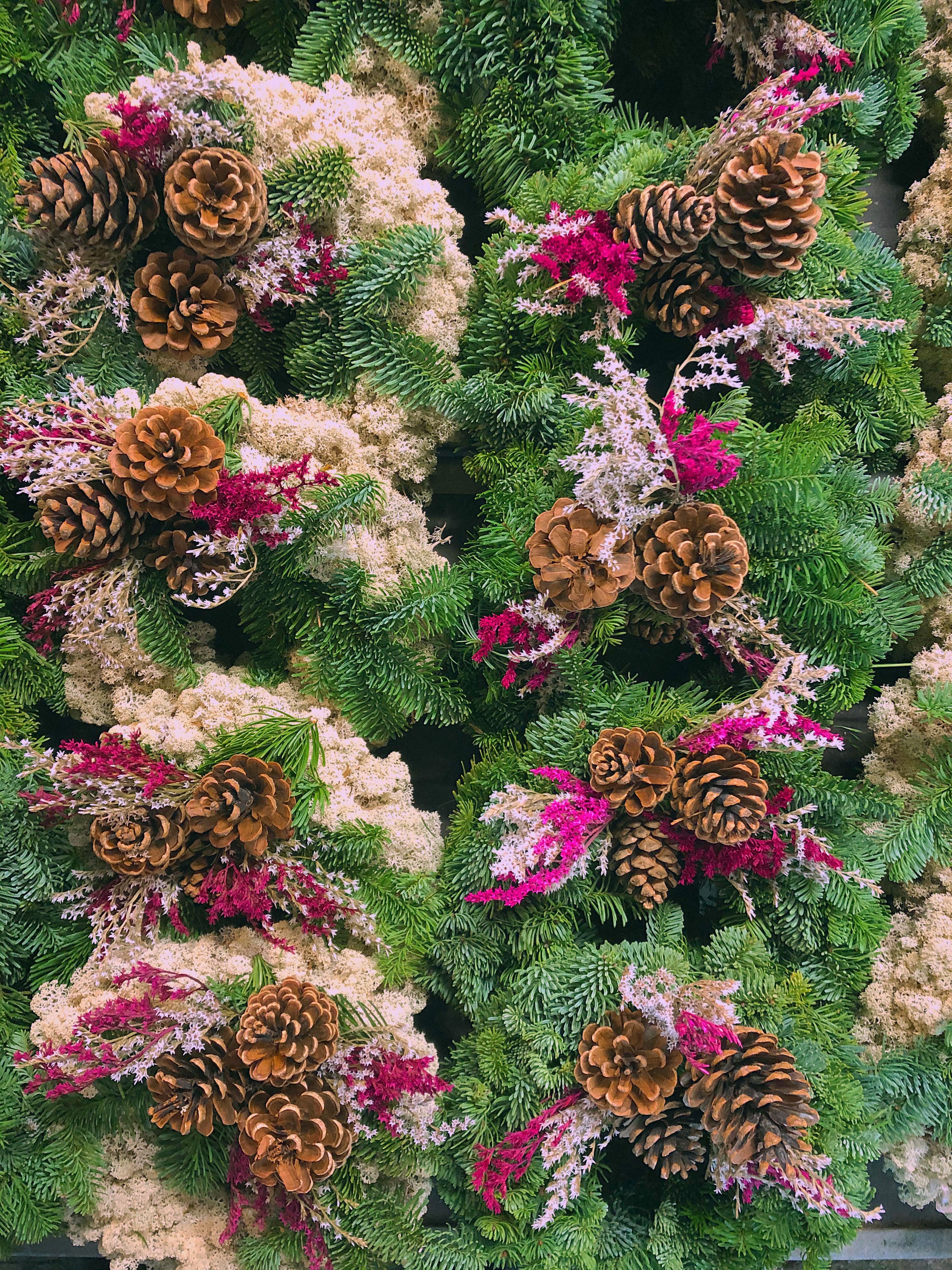Norse Flora Photos, Download The BEST Free Norse Flora Stock Photos