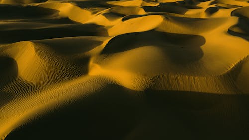 Brown Sand Dunes