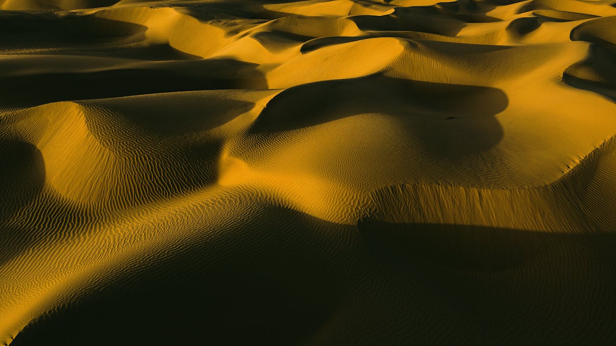 Brown Sand Dunes