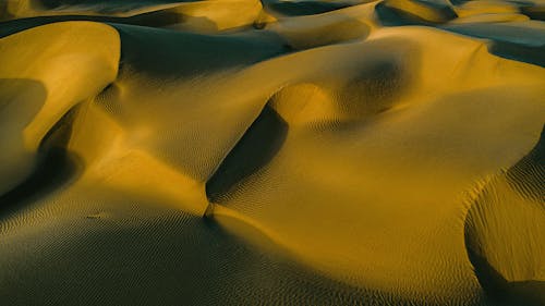 Kostenloses Stock Foto zu dünen, gold, landschaft