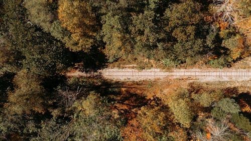 Drone view of rural railroad through green forest