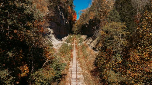 Perspective scenery of abandoned railway running through rough ravine covered with deciduous greenery on early autumn day