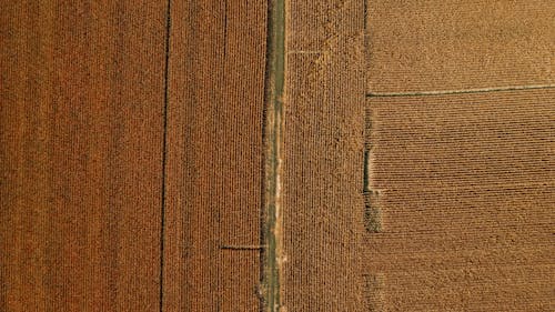 Aerial view of agricultural fields and rural road