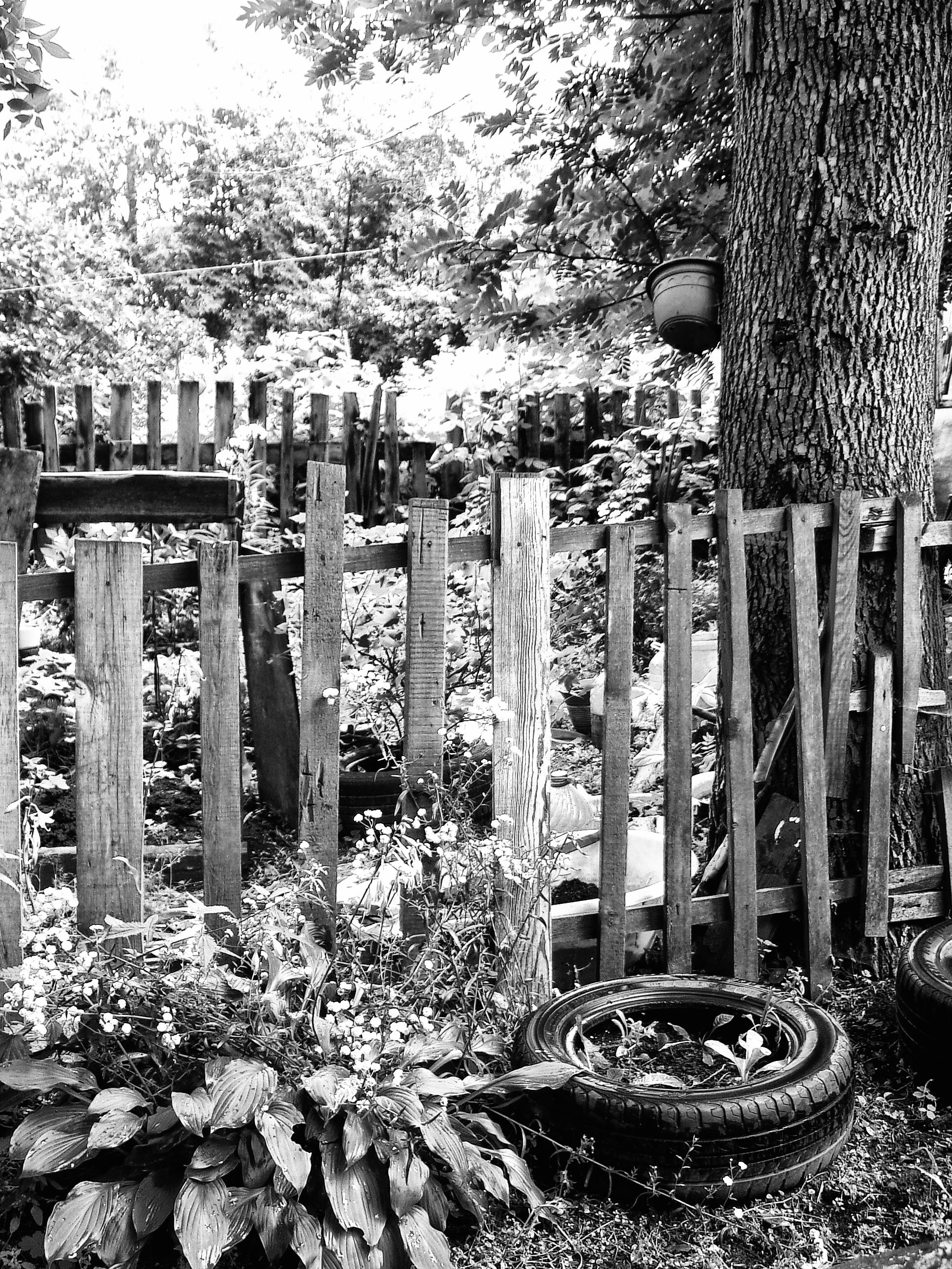 البيض المخفوق