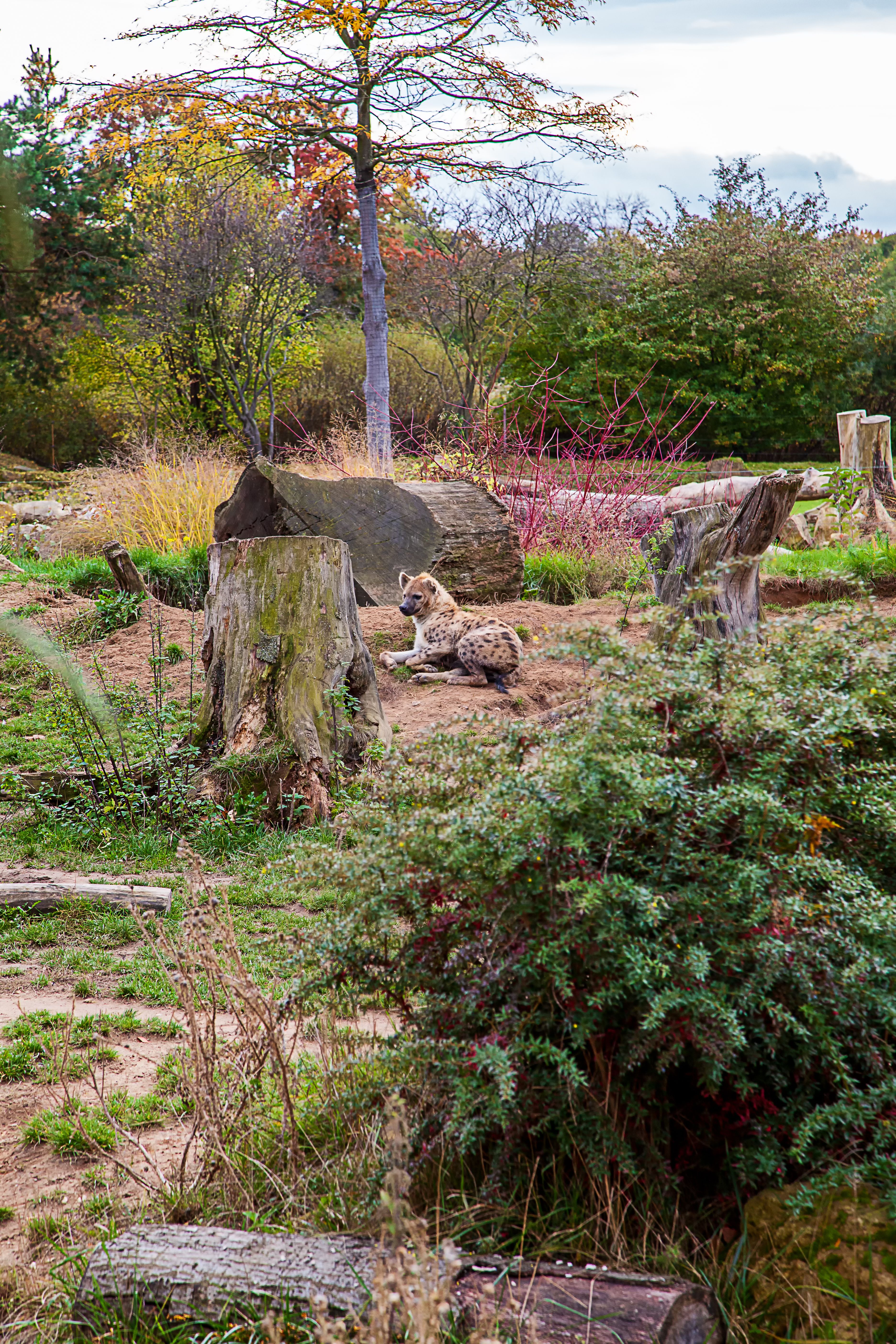 Leipzig Zoological Garden