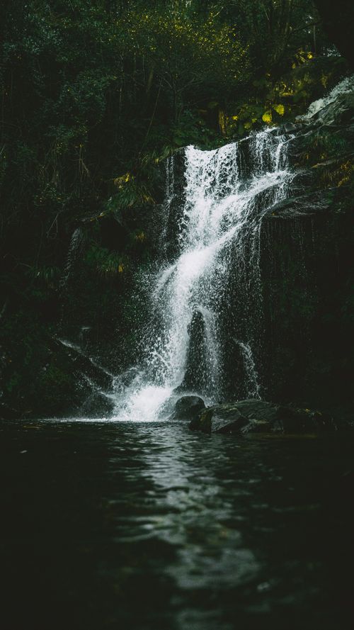 Free A tranquil waterfall cascading in a lush forest setting, creating a serene atmosphere. Stock Photo
