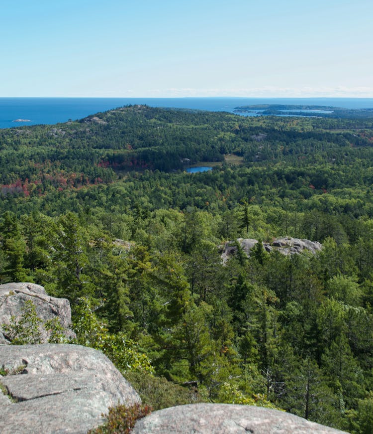 Breathtaking View Of Forest And Sea From Rocky Top Of Hill