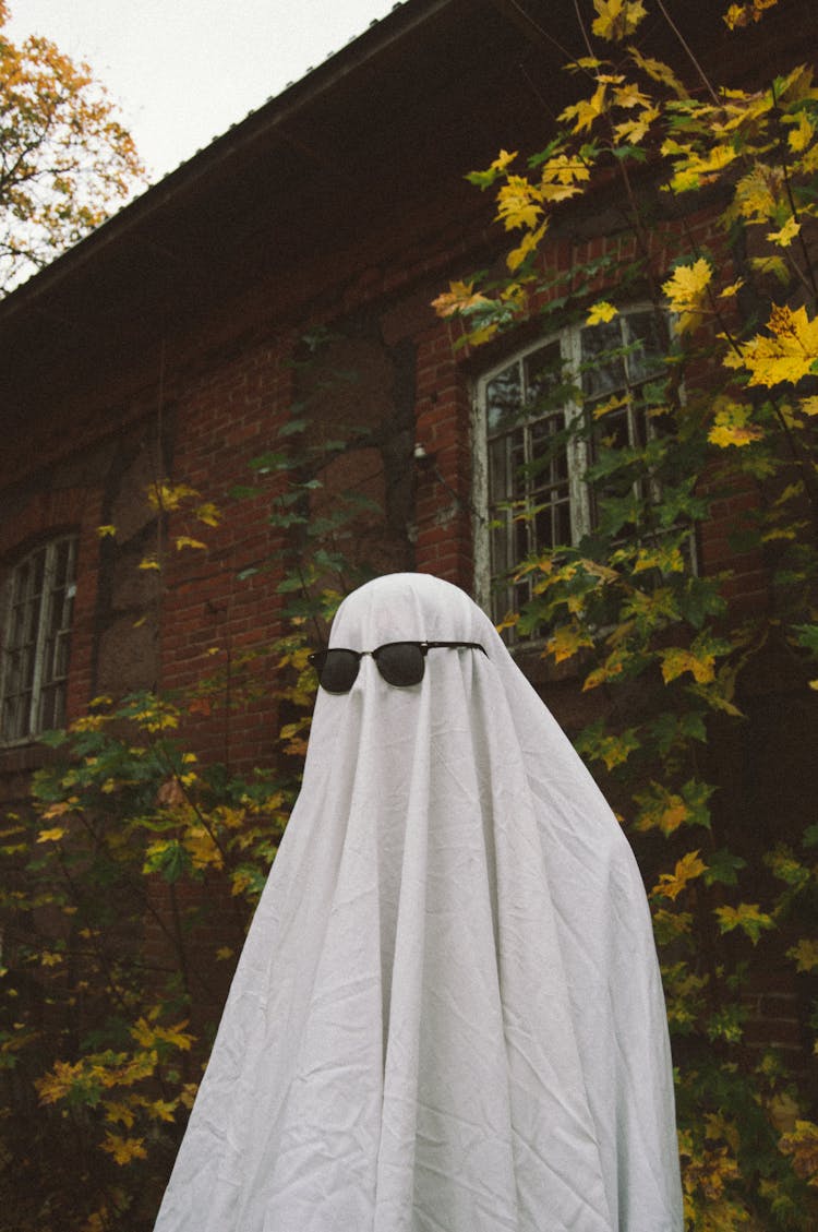 Person Dressed As A Ghost Wearing Sunglasses