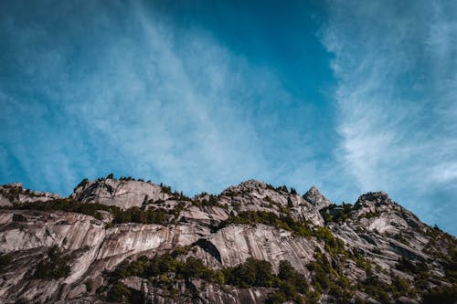 Rough ridge with trees under cloudy sky