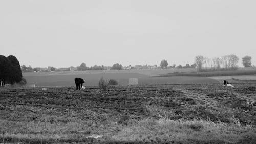 Faceless people working in field in daytime