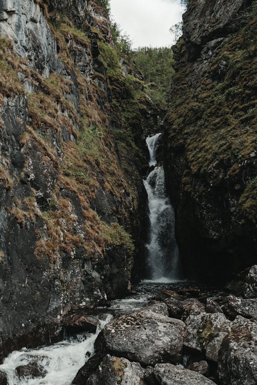 Foto stok gratis air, air terjun, alam