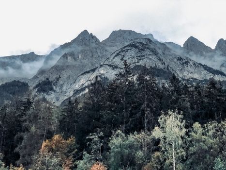 From below of picturesque scenery of colorful trees growing near high rocky mountains under cloudy sky in daytime