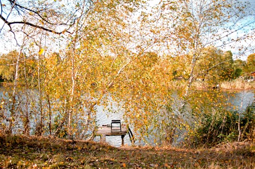 Pier at Lake in Golden Autumn Forest
