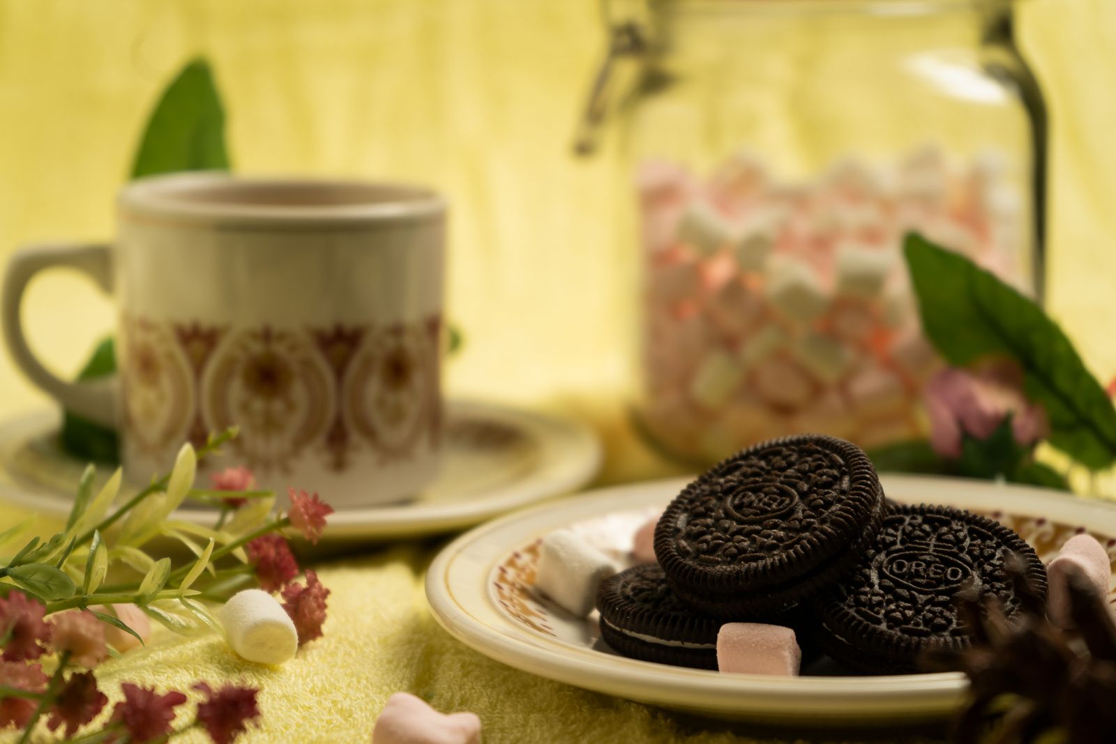 Candy Supplier Portland: European Candy Wholesale for Portland and Pacific Northwest Retailers