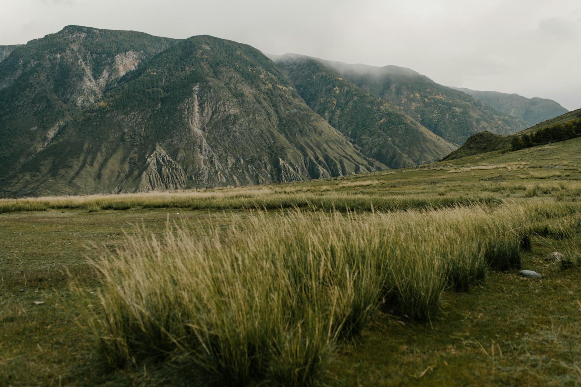 A tranquil mountain view with expansive grassy fields and moody cloud cover.