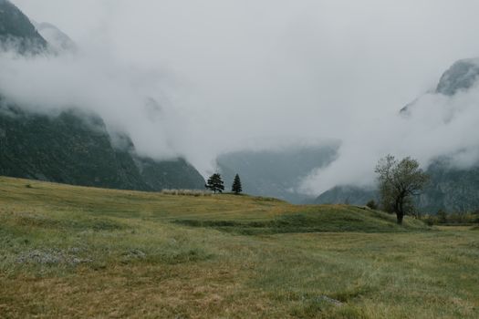 薄雾笼罩着山脉，宁静的草地与之相映，营造出静谧的乡村风光