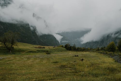 Green Grass Field Near Foggy Mountains