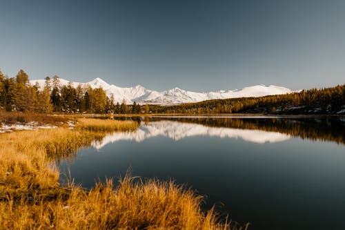 Kostnadsfri bild av altai, bergen, gräs