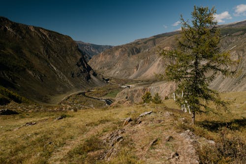 Campo De Hierba Verde Y Montaña Marrón Bajo Un Cielo Azul