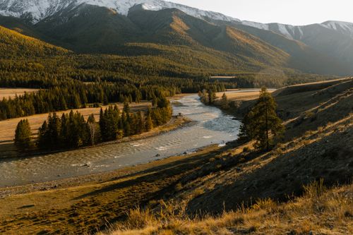 Free Beautiful landscape of a river winding through forests and mountains, bathed in golden sunset. Stock Photo