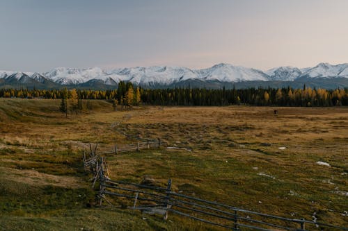 Scenic View of Trees in Grassland Across the Snow Capped Mountains