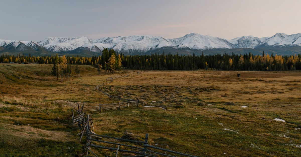 Tuyết tháng 9 phủ trắng một số khu vực Alberta, dự báo còn thêm
